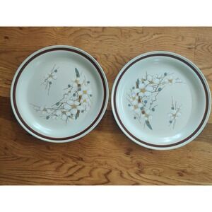 Country Living Timberline Dinner Plates Set of 2 Floral Stoneware Japan Vintage